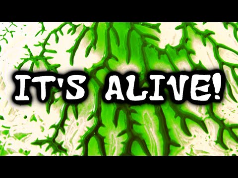 Easy Fractals Decalcomania Art and Pareidolia