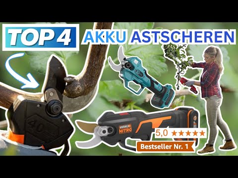 Beste AKKU ASTSCHEREN (Testsieger 2026) | Top 4 Akku Gartenscheren Vergleich