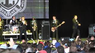 Mighty Mighty Bosstones-  "The Impression That I Get" & "Lights Out" Live (HD)