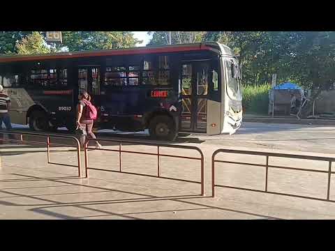 Ônibus em Pedro Leopoldo MG