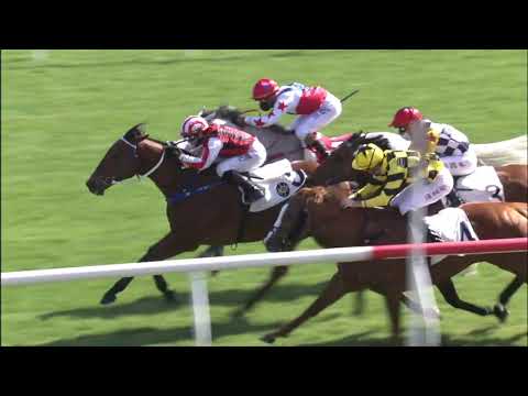 1/1/2021 (308) Explosive Witness - A Badel (The Bauhinia Sprint Trophy )