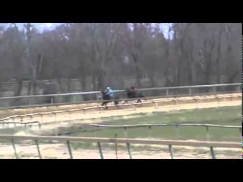 YouTube video about: What is breezing in horse racing?