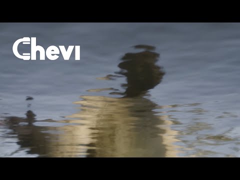 Chevi — Video 6