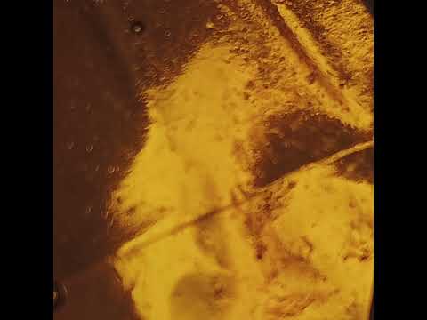 Golden Glass - SKYE