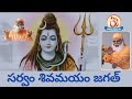 Sarvam Sivamayam Jagath సర్వం శివమయం జగత్ Pravachan Bhajans By Swami S