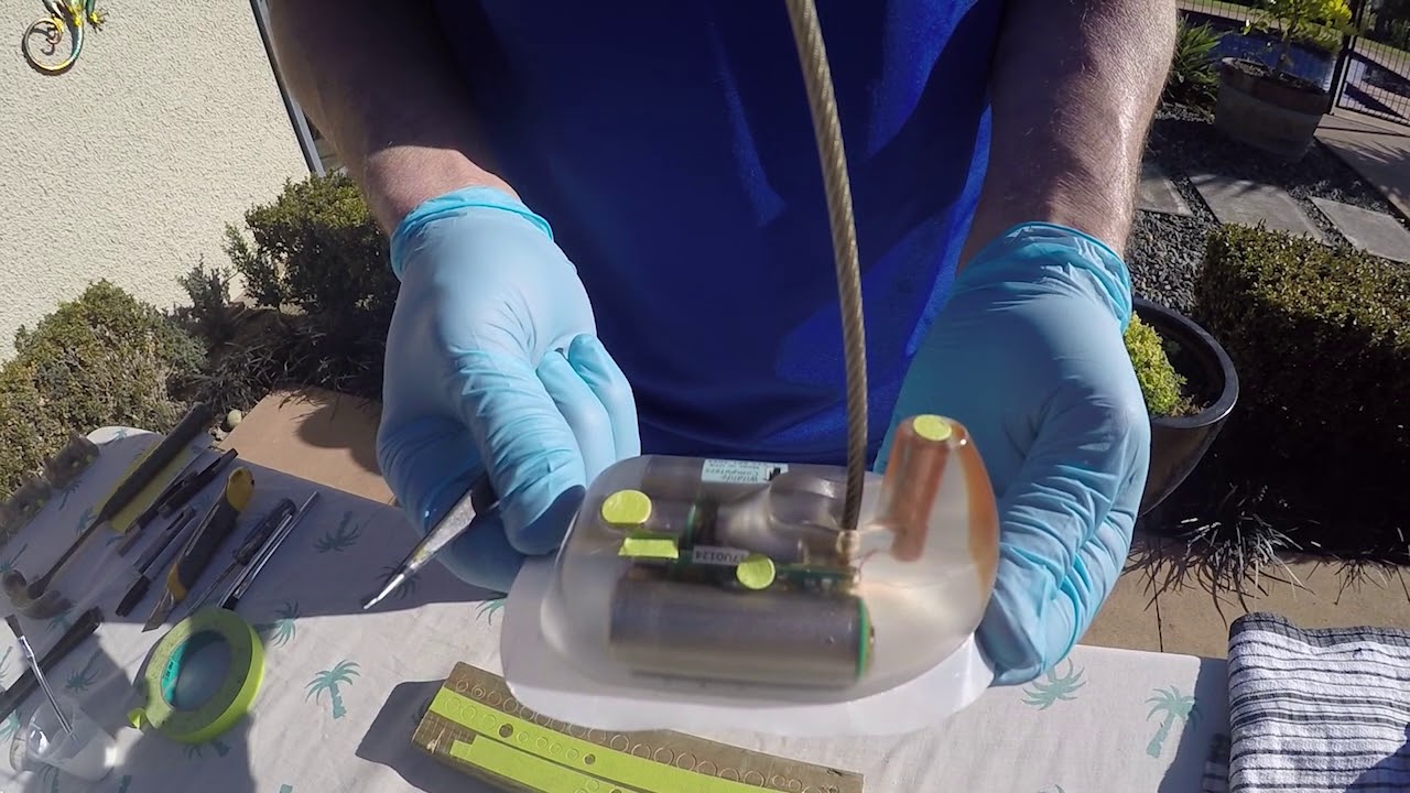 Wildlife Computers Turtle Antifouling Video