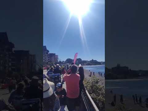 La caida de una grua en Puerto Varas