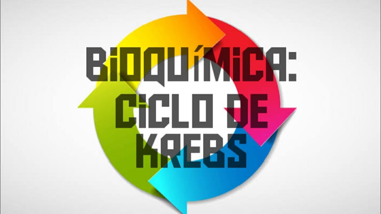 Bioquímica: Ciclo de Krebs
