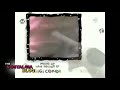 Wishbone Adult Party Cartoon Theme Add This On Your These Shows Suck Playlist