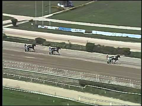 Trotto 25/08/2015 - 2° prova di qualifica