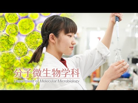【分子微生物学科】未来は見えないものの中に【東京農業大学】