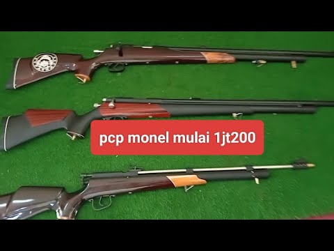 senapan angin pcp monel 1jutaan #senapanangin#pcpjawa