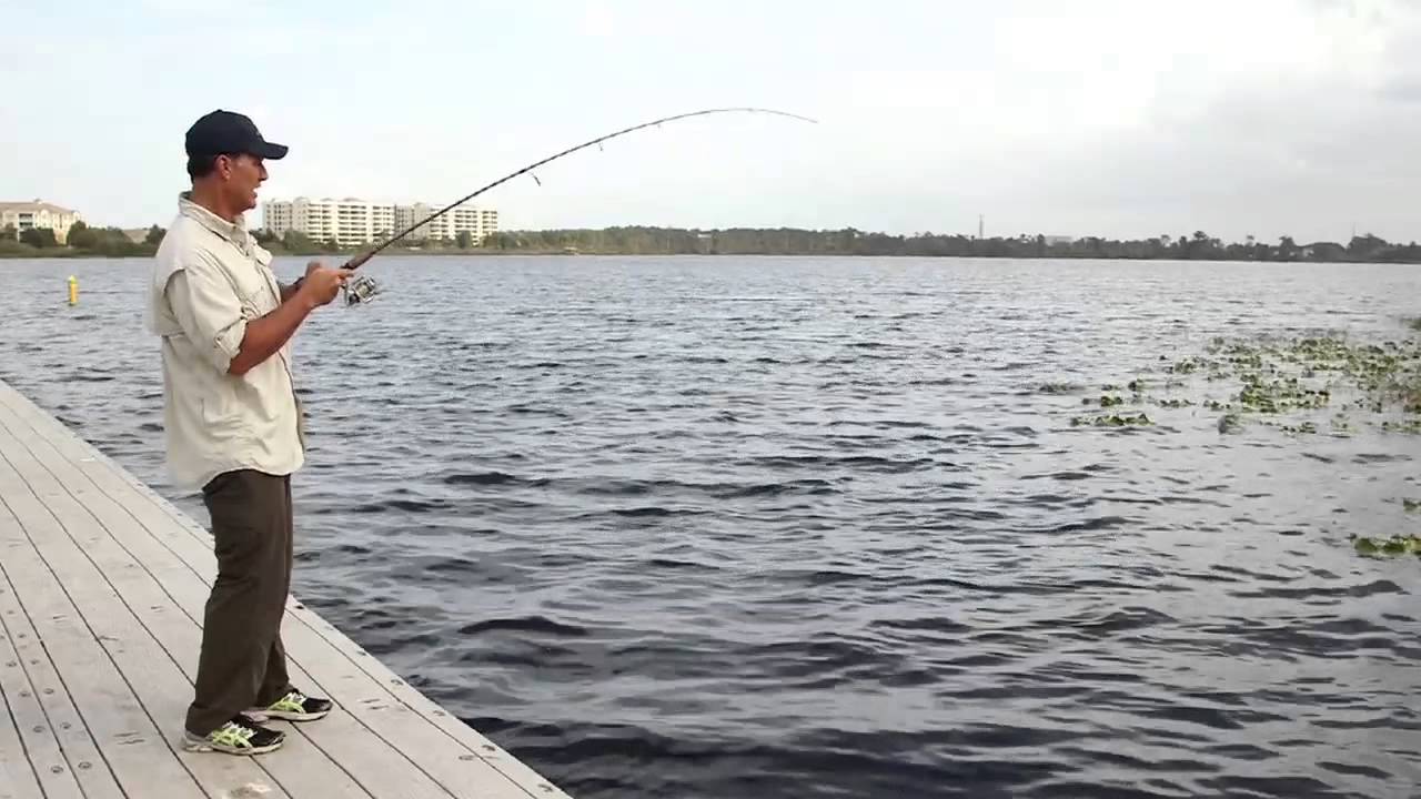 Aprende a pescar: Cómo manejar al pez para enrollarlo