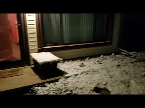 April Fools Day 2021. It snowed in Detroit Michigan. This place has crazy weather.