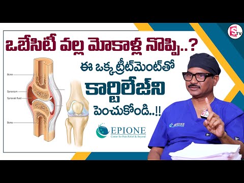 Cartilage regeneration and obesity-linked knee problems
