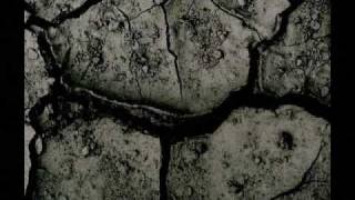 Nikka Costa - Flowers