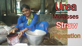 ইউরিয়া মোলাসেস স্ট্র তৈরী