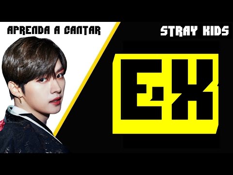 Ex - Stray Kids
