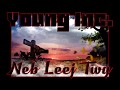 YOUNG INC Neb Leej Twg