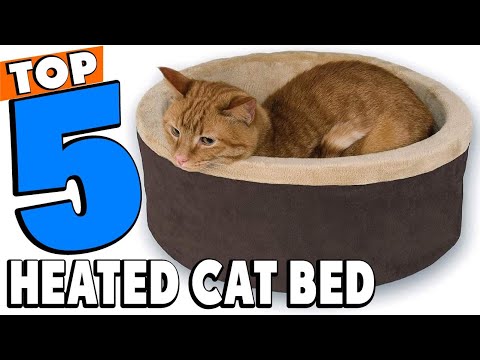 Top 5 Best Heated Cat Bed Review In 2022