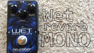 Video thumbnail for Neunaber Wet Reverb MONO V4 - Review (PT-BR) by Victor Young