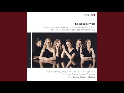 3 Lieder, Op. 29, TrV 172: No. 3, Nachtgang