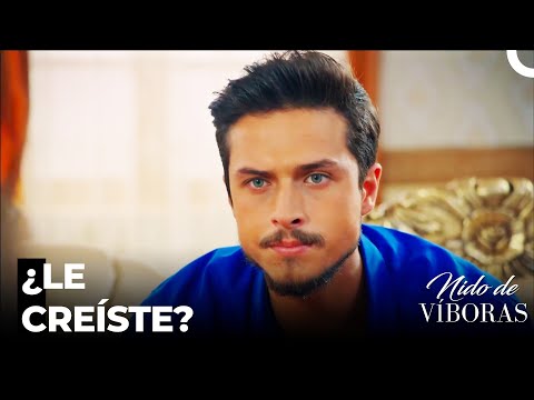 ¿Está Mi Marido Enfrente De Mi?  - Nido De Víboras