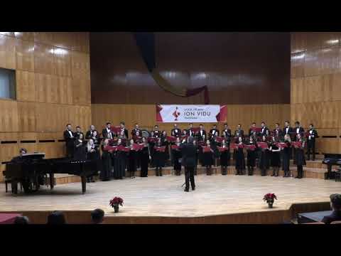 Corul Amicus Timisoara, dirijor Lucian Onita - The Ground