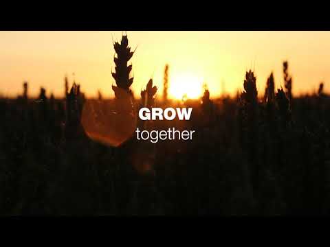 Get to know KWS UK: join us on our journey