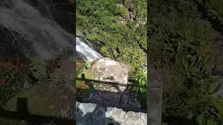 será porque te amo #thalia