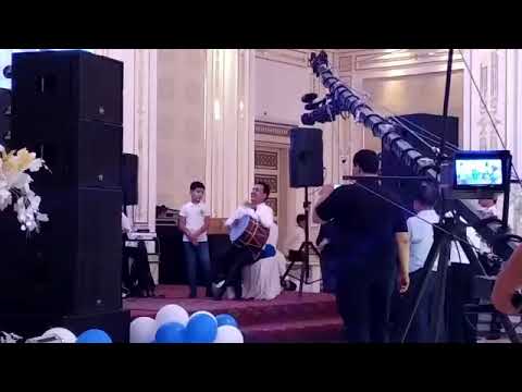 #toy #cover #canlises