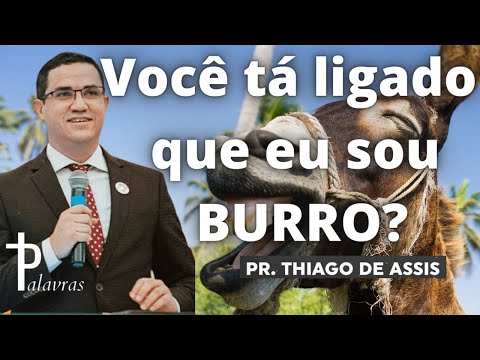 Diario de Deus | Palavras | Voce ta ligado que eu sou Burro | Thiago de Assis