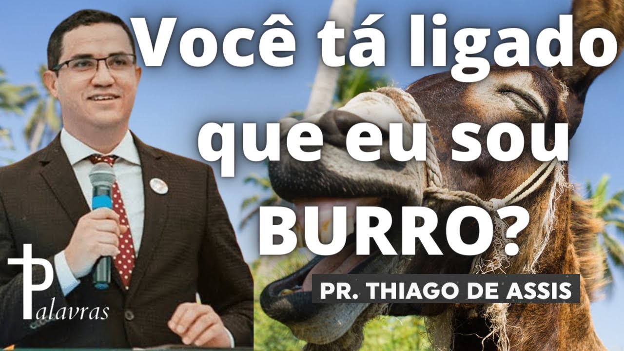Voce ta ligado que eu sou Burro | Thiago de Assis |  Diario de Deus
