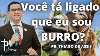 Diario de Deus | Palavras | Voce ta ligado que eu sou Burro | Thiago de Assis
