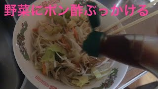 野菜にポン酢ぶっかけて食べる