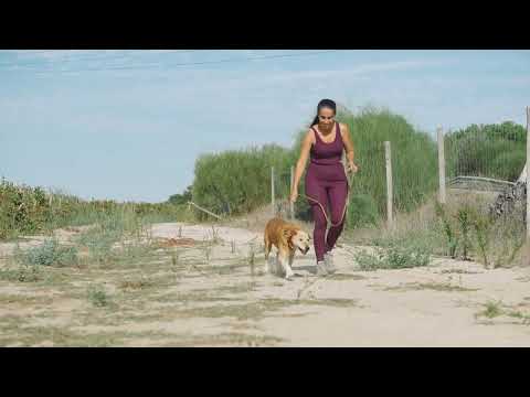 Vídeo de GOLDIE