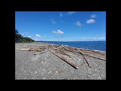 Beauty of Navitas Beach, Brgy. Navitas Numancia Aklan...Arriba Numancia!!!