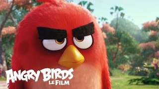 Angry Birds Le film Film Trailer