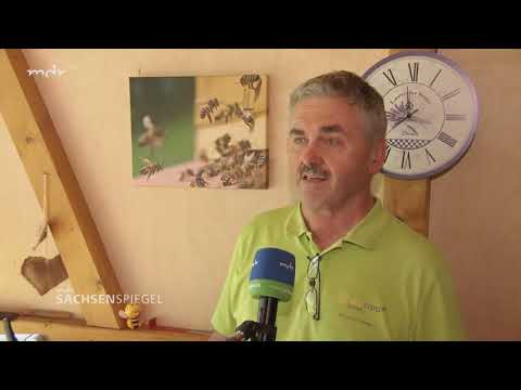 MDR Beitrag zum Thema Bienenstockluft