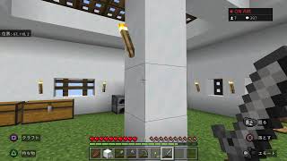 【マイクラ】初心者がお散歩するだけ【ゲーム配信】