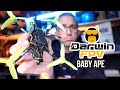 Квадрокоптер DarwinFPV Baby Ape Pro V3 - FPV-дрон для навчання та гонок, безколекторні мотори, дальність до 1300 м, до 7 хвилин польоту