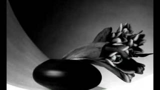 Breathless - Flowers die ( Between Happiness And Heartache ) 1991