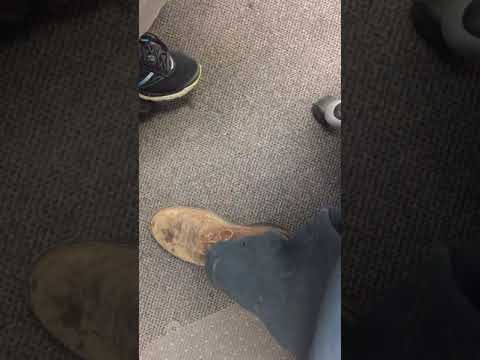 trim 258C3600 201E 4BA8 BBD5 53E340528903