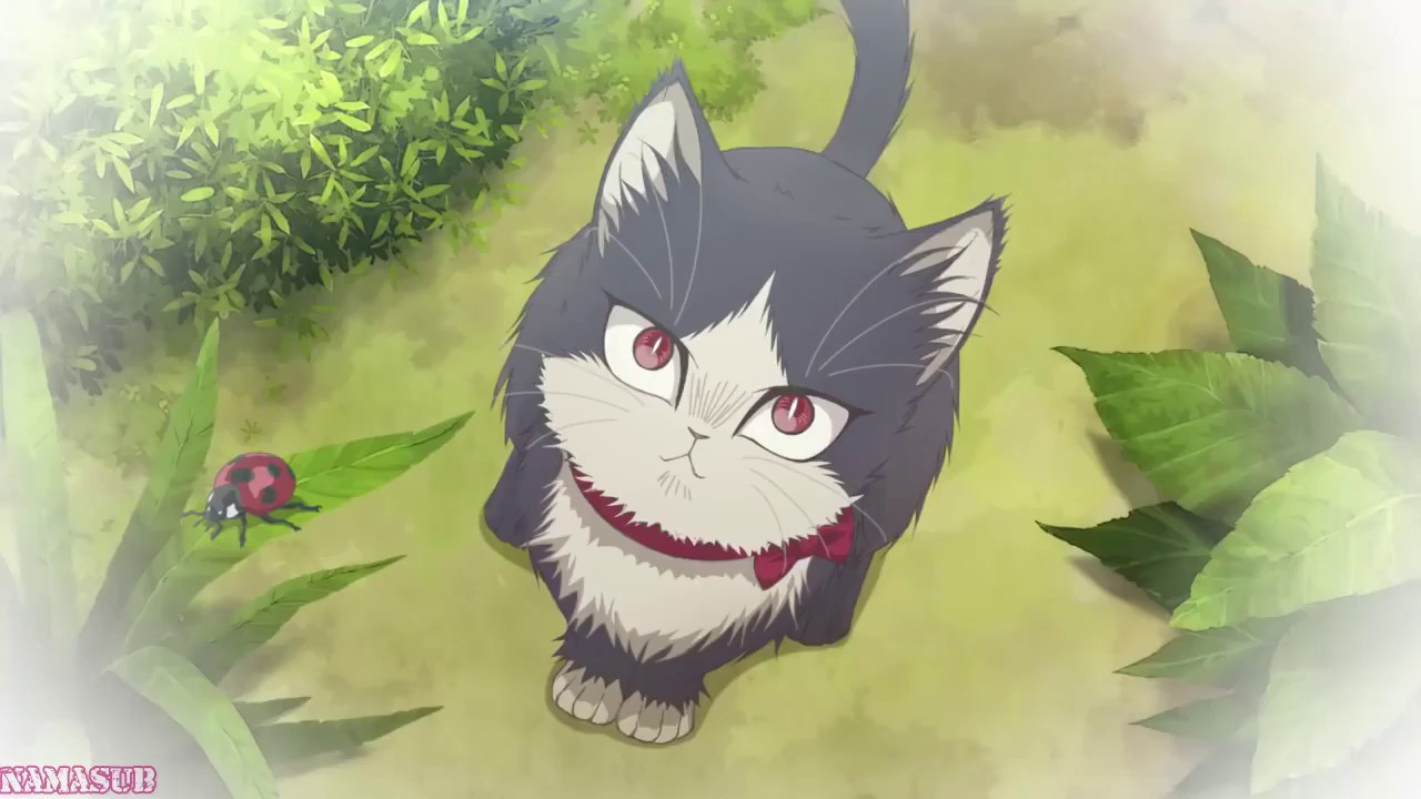 Trailer oficial de My Roommate is a Cat