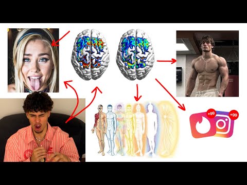 "La Transmutación" es la forma más facil de DESEXUALIZAR tu cerebro