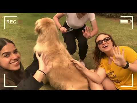 Machané Kaitz 2022 Teaser