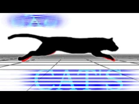 Dance Maniax 2ndMIX append J-PARADISE: CAT'S EYE (Ventura Mix) (Movie)