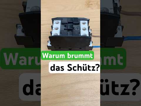 Schütz brummt laut – mögliche Ursachen einfach erklärt! (Kurzvideo)