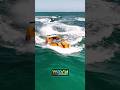 Jet Car Vs Haulover Inlet How Did It Do Wavy Boats