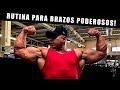 Rutina de Brazos poderosos! con Fernando valdez